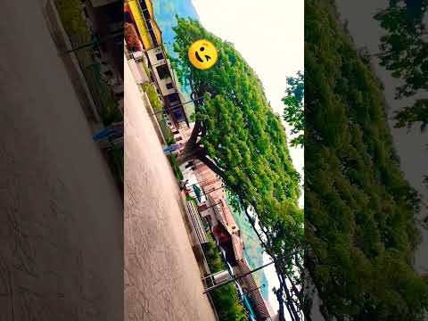 Hispania Antioquia #bellodia