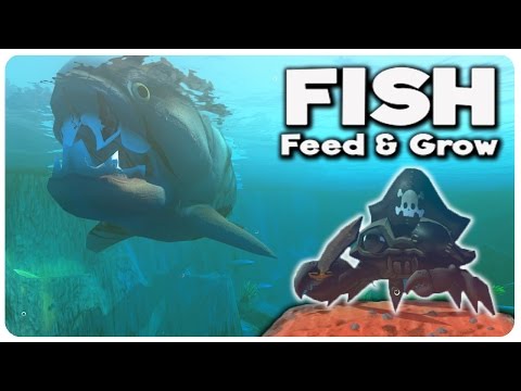 Pirate Crab vs Crab King vs SHARK! | Feed and Grow Fish Gameplay Highlights