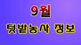 [텃밭농부.739] 9월 텃밭농사정보 #텃밭농사
