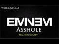 Eminem - Asshole ft. Skylar Grey (Clean) 