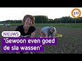 Zelf je groentes oogsten, vers van het land van de herenboer