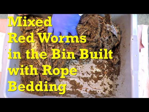28-day mixed red worm bin, w mostly twine bedding, gets 3rd feeding - vermicompost