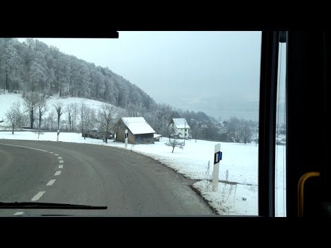 VZO Zürichsee Oberland Bus | Linie 950: Oetwil am See, Zentrum - Stäfa, Bhf. | MB Citaro I