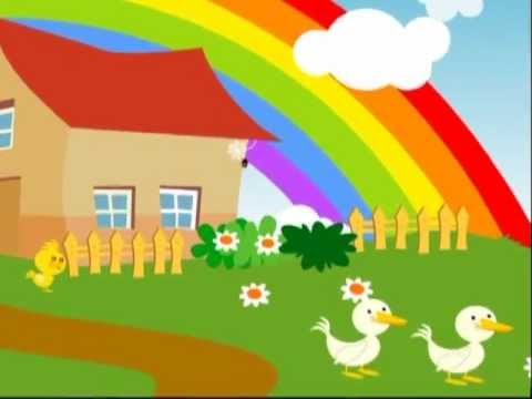 Dona aranha (@Jardim de Infância 5)