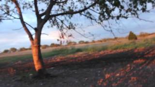 Branch Davidian Compound - Return To Waco - 19 Years Later