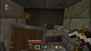 【PS4 Pro】# 28 〜エンドラアタック勝手にワンデス！？Part 22〜【Minecraft】