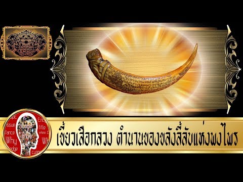 สิ่งที่ฝันเลี้ยงลูกแมวหน้าอกเล็ก คลินิกเต้านมขยายเซนต์ปีเตอร์สเบิร์ก