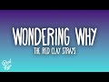 The Red Clay Strays - Wondering Why