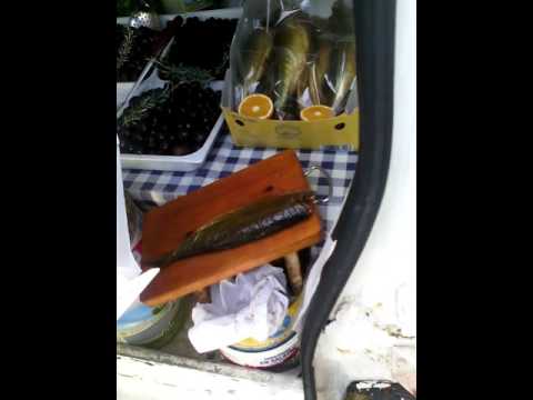 Se lyambliya influenzano la pelle di faccia Da un girasole lyambliya semina la zucca