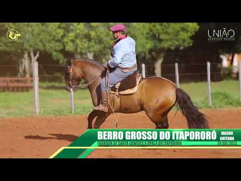 Berro Grosso do Itapororó