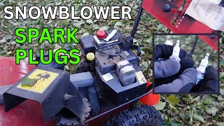 Snow Blower Spark Plug Change