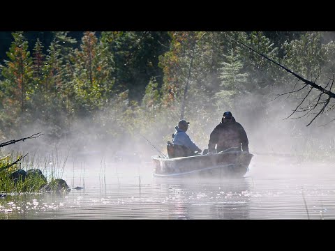 Studd Lake - A North Of Nakina Walleye Wonderland!