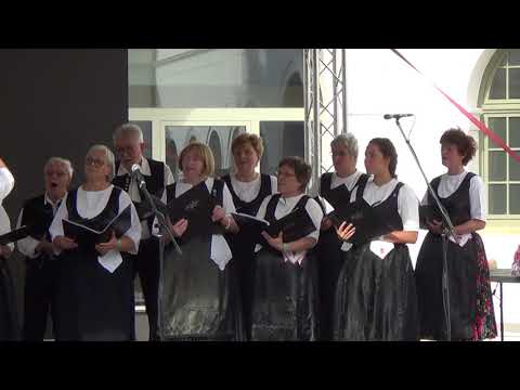 Am Rhein - Mondschein Chor