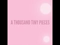 a thousand tiny pieces (revisited)