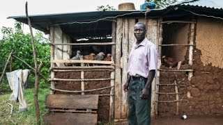 Is Giving Money Directly to the Poor a Good Idea?