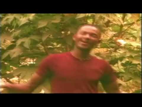 Mixibioti   Mixibioti