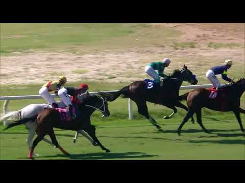 230305 c03 PARCEIRO DE FE (BRZ)