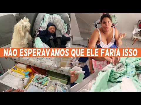NOSSO PRIMEIRO DIA EM CASA + REAÇÃO DO PET AO ENCONTRAR O BEBÊ 😍