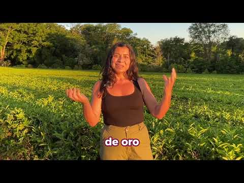 Testimonio de Ignacia González
