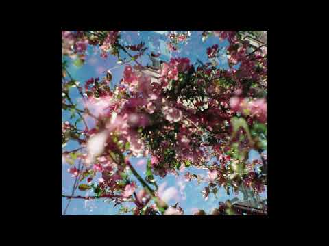 Nahash - Changement de régime (Official Audio)