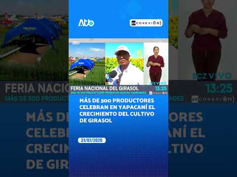 Más de 500 productores celebran en Yapacaní el crecimiento del cultivo de girasol