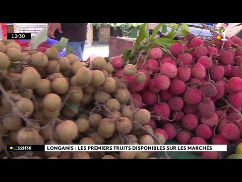Les longanis sont à 6 euros le kilo au marché forain