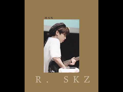 Stray Kids :HAN  "Wish You Back"