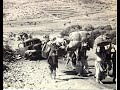 Britain In Palestine 1917 1948