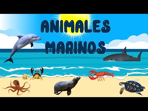 Animales Marinos para niños | Sonidos de animales | Videos educativos | LeoFunTv
