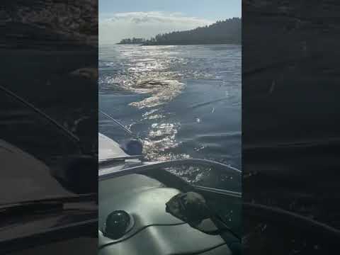 Whirlpool  (Devil’s hole ) Vancouver BC