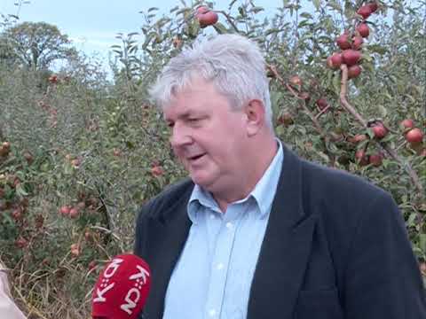 03 AGRO PODUNAVLJE 31.10. 2018