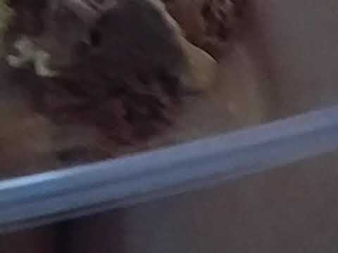 Ice cream and Daria! 🍦