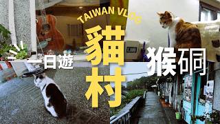 【台湾Vlog🇹🇼14】台湾の ”猫村” 猴硐を一人旅｜猫に恩返しの世界 / 台灣的 ”貓村” 猴硐一個人旅行｜簡直貓的報恩的世界
