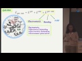 Avital Shurki (The Hebrew University of Jerusalem) QM/MM: the way to understand enzymes