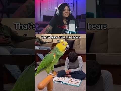 That&rsquo;s how often he hears it 🤣