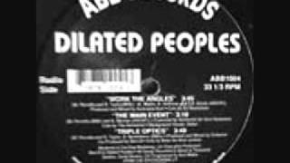 Dilated Peoples - Work The Angles (Remix)