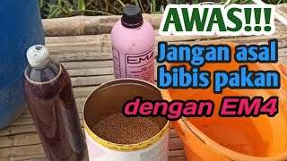 Download lagu Cara bibis pelet ikan nila pakan ikan nila mp3