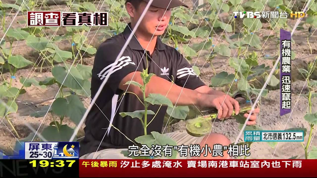 雲林有機農業竄起 卻苦無銷售管道