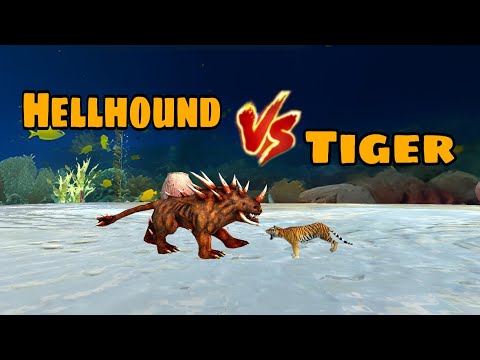 Hellhound vs Tiger - DEATH MATCH - Animal Revolt Battle Simulator😱🔥