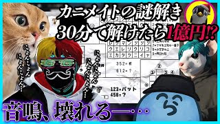 謎解きが得意なレダー - 【ストグラ】カニメイトの謎解きが難しすぎて猫ミーム化する音鳴と9分で解いたレダー(不正)｜21日目まとめ【#らっだぁ切り抜き】