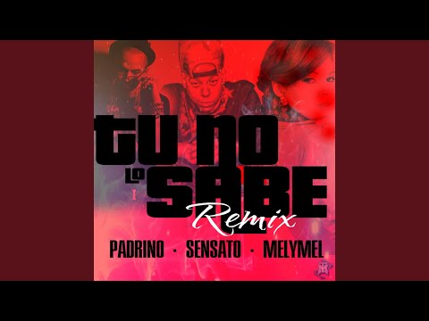 Tu No Lo Sabe (feat. Padrino Lzf & MelyMel)