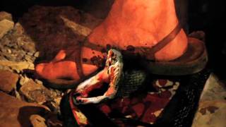 The Abortion Matrix - Chapter 9 : Part 3 - Defeating Jezebel