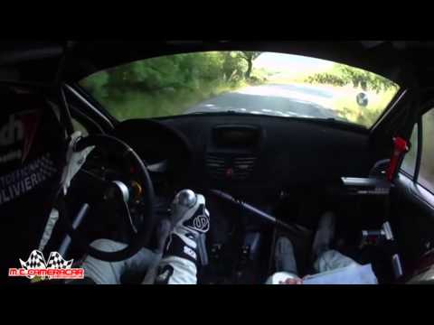 Rally Alta Val di Cecina 2014  Senigagliesi - Morganti  Peugeot 207 Super 2000   1° ASSOLUTI