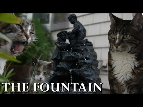 Cat Tales - The Fountain