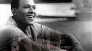 TEENA MARIE ~ DEAR MR GAYE