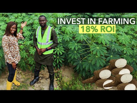 , title : 'How To Invest In Agriculture In Nigeria (THE RIGHT WAY) | 18% RETURN ON CASSAVA FARMING INVESTMENT'