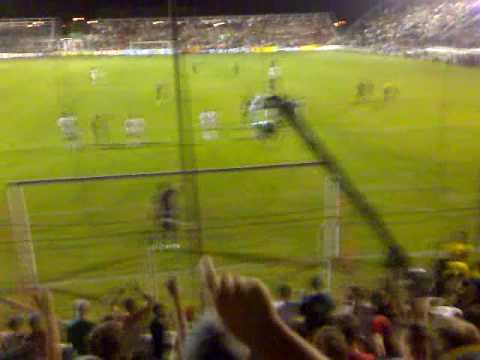 Itápolis Oesterror boi