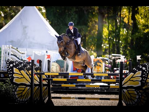 Urvoso Du Roch - WEF 4 CSI2* 1.45m Ranking Class 5th Place