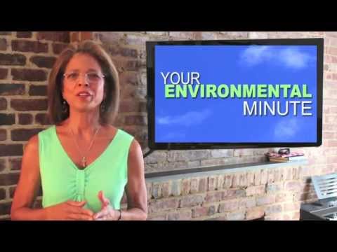 Your Environmental Minute 18 - "Allergic Reactions"