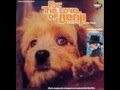 Sunshine Smile Charlie Rich